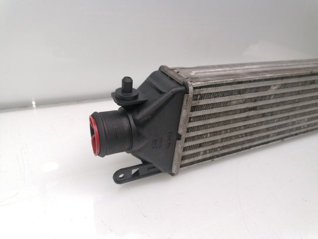 50532811 FIAT Интеркулер купить в Украина