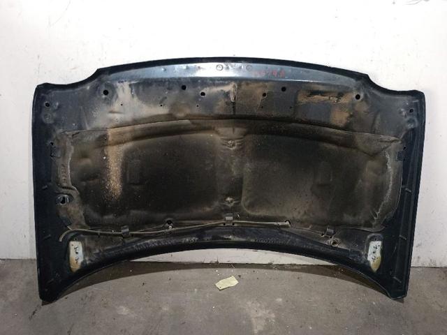 5074926AE CHRYSLER Капот купить в Ужгород