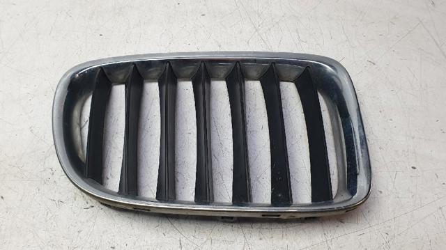 BMW 51112993307 Решетка радиатора левая в наличии Павлоград