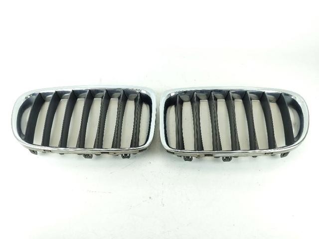 BMW 51117347667 Решетка радиатора в наличии Киев