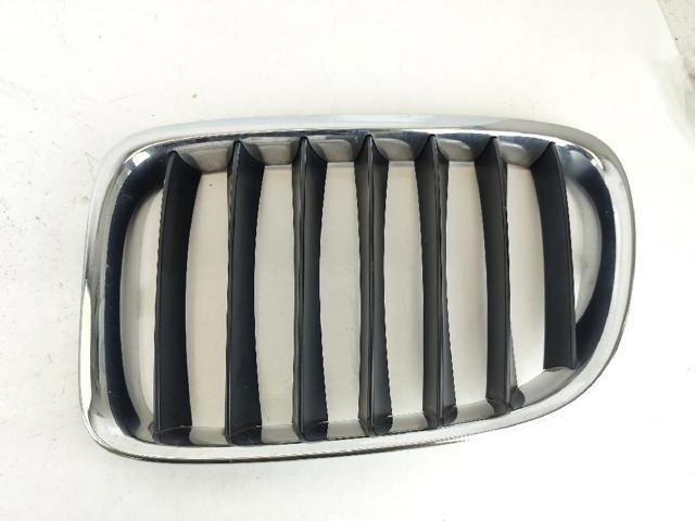 51117347667 BMW Решетка радиатора купить в Черновцы