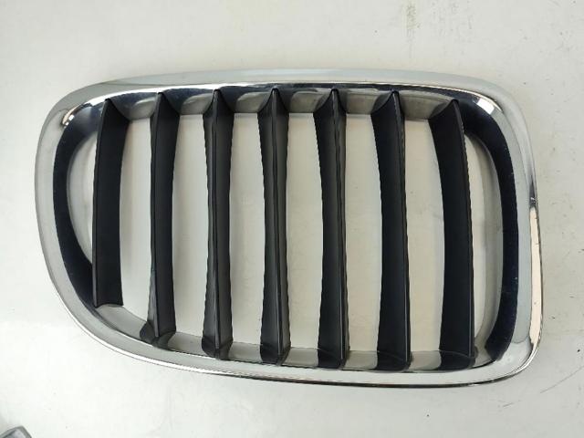 BMW 51117347667 Решетка радиатора в наличии Черкассы