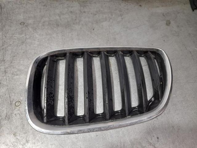 51137113733 BMW Решетка радиатора левая купить в Полтава