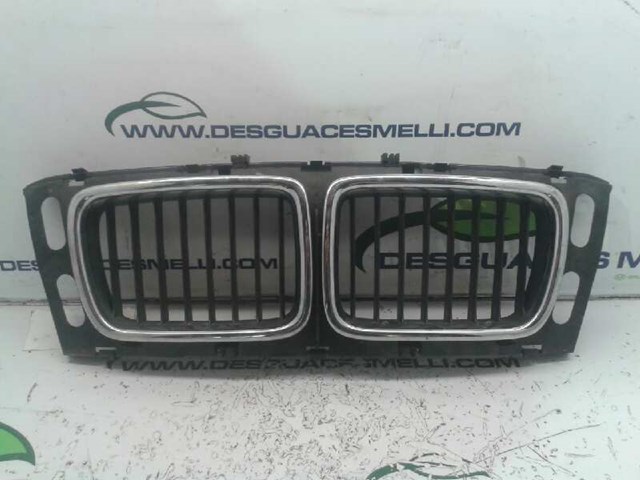 Grelha do radiador 51138148727 BMW