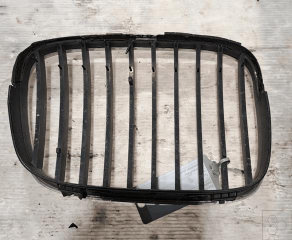 BMW 51138159315 Решетка радиатора левая в наличии Полтава