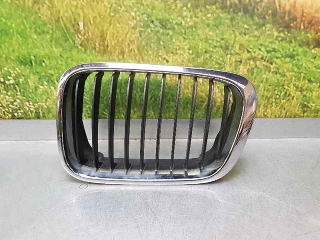 BMW 51138208487 Решетка радиатора левая в наличии Украина