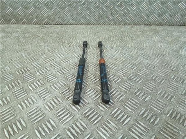 Amortecedor da capota 51237239233 BMW