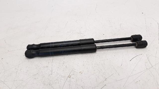 Amortecedor da capota 51237239233 BMW