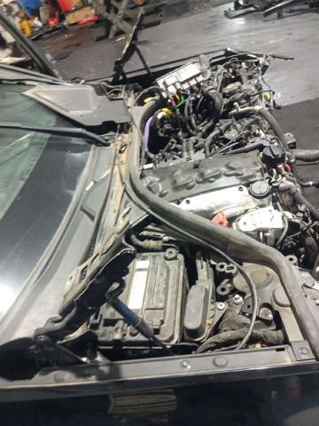 Amortecedor da capota BMW 3 G21, G81