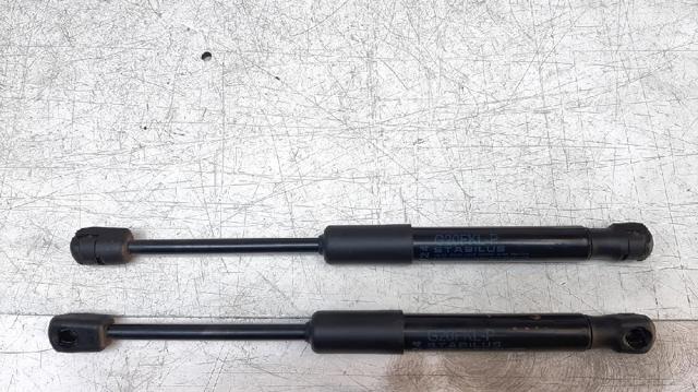 Amortecedor da capota BMW 3 G21, G81