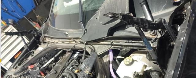 Amortecedor da capota BMW 3 G21, G81