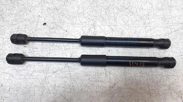 Amortecedor da capota BMW 3 G21, G81