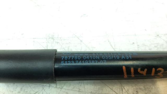 Amortecedor da capota BMW 3 G21, G81