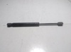 Amortecedor da capota 51239802054 BMW