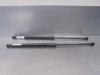 Amortecedor de tampa de porta-malas (de 3ª/5ª porta traseira) 51247239871 BMW