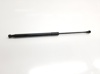 Amortecedor de tampa de porta-malas (de 3ª/5ª porta traseira) 51247239871 BMW