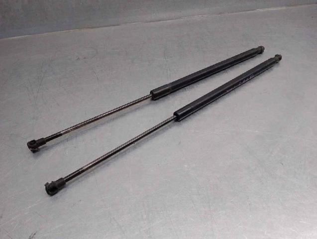 51248232873 BMW Амортизатор багажника купить в Черкассы