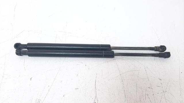 51248254281 Амортизатор багажника купить Хмельницкий