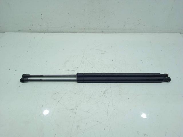 Amortecedor de tampa de porta-malas (de 3ª/5ª porta traseira) 51248402405 BMW