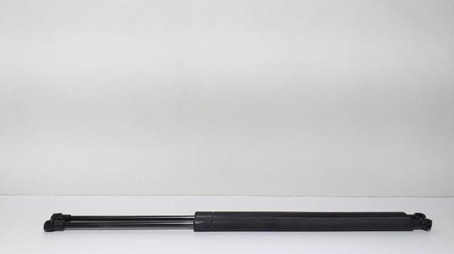 Amortecedor de tampa de porta-malas (de 3ª/5ª porta traseira) 51248402405 BMW