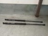 Amortecedor de tampa de porta-malas (de 3ª/5ª porta traseira) 51248402405 BMW