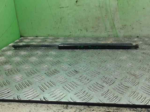 Amortecedor de tampa de porta-malas (de 3ª/5ª porta traseira) 51248402405 BMW