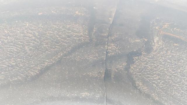 51717394078 купить Павлоград