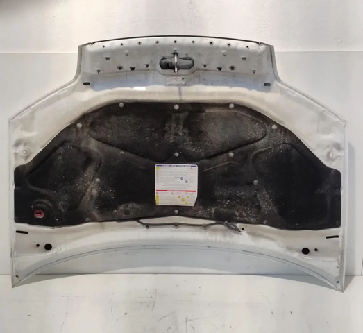 51741257 FIAT Капот купить в Каменское