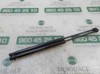 Amortecedor de tampa de porta-malas (de 3ª/5ª porta traseira) 51785412 FIAT