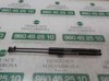 Amortecedor de tampa de porta-malas (de 3ª/5ª porta traseira) 51785412 FIAT