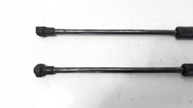 51785412 FIAT Амортизатор крышки багажника (двери 3/5-й задней) купить в Кривой Рог