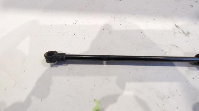 FORD 51794232 Амортизатор багажника в наличии Житомир