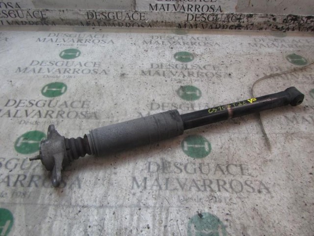 51805320 FIAT Амортизатор задний купить в Павлоград