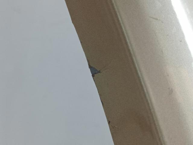 Pára-lama dianteiro esquerdo SsangYong Kyron