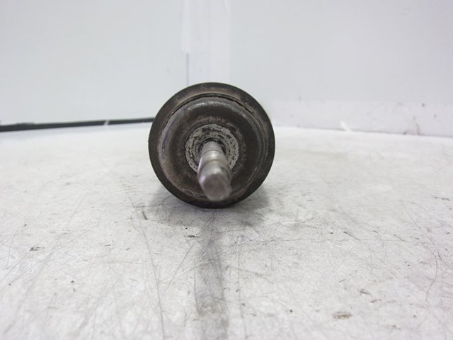 51831651 FIAT Амортизатор задний купить в Винница