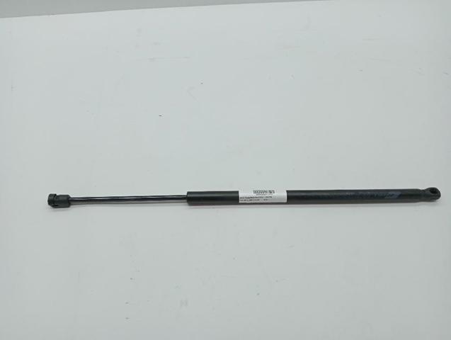 FIAT 51883050 Амортизатор багажника в наличии Черкассы
