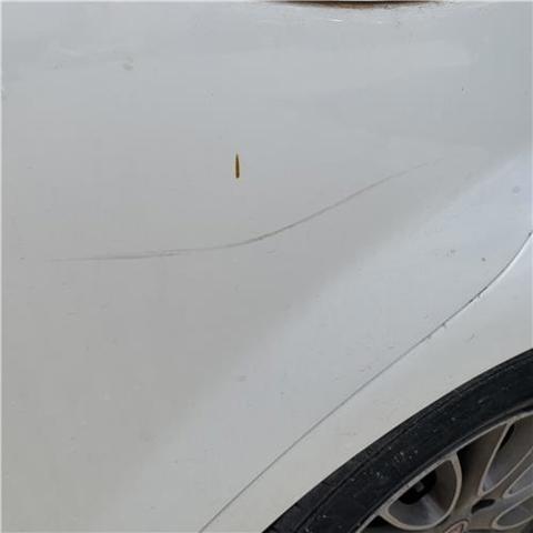 51888070 FIAT Дверь задняя левая купить в Павлоград