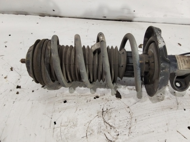 51936078 FIAT Амортизатор передний правый купить в Николаев