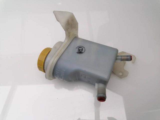 Tanque de bomba da Direção hidrâulica assistida Fiat Doblo 2 263