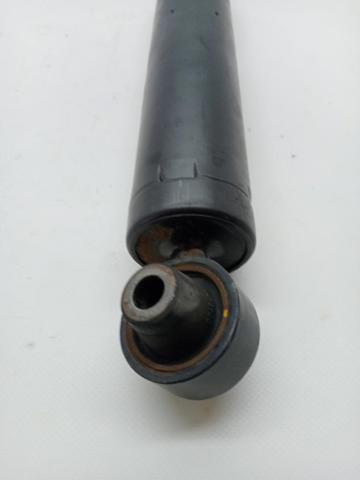51962036 FIAT Амортизатор задний купить в Одесса
