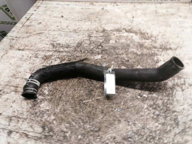Mangueira (cano derivado) do radiador de esfriamento superior 52029272 Chrysler