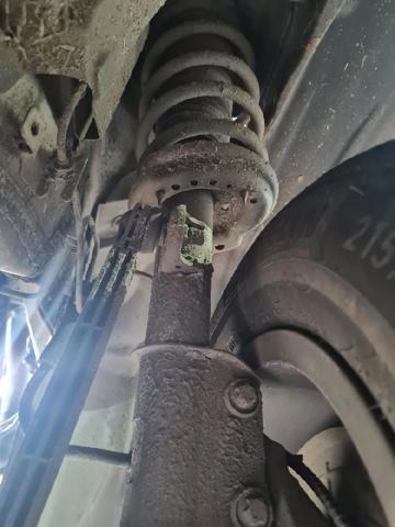52036190 Амортизатор передний правый купить Сумы