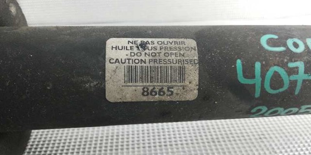 PEUGEOT 5206FG Амортизатор задний в наличии Павлоград