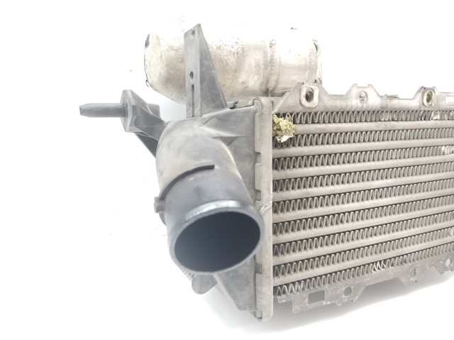 52475657 OPEL Интеркулер купить в Ужгород