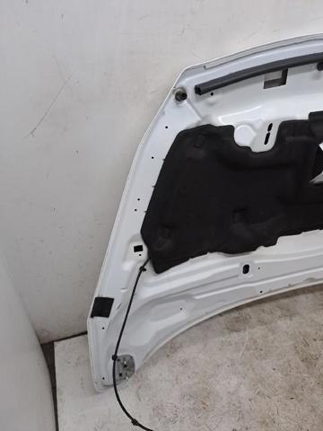 5262148 FORD Капот купить в Харьков