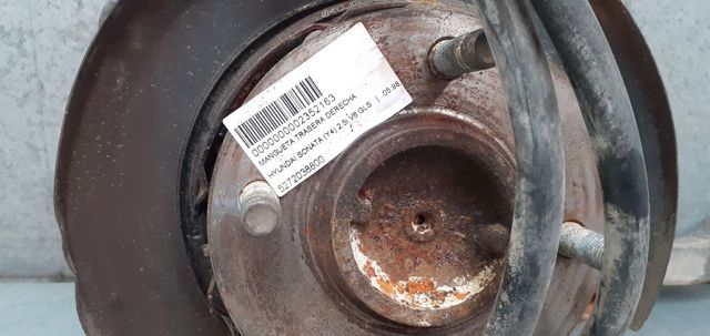 5272038800 HYUNDAI Цапфа (поворотный кулак) задний правый купить в Кривой Рог