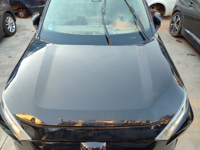 Capota 5330142150 TOYOTA