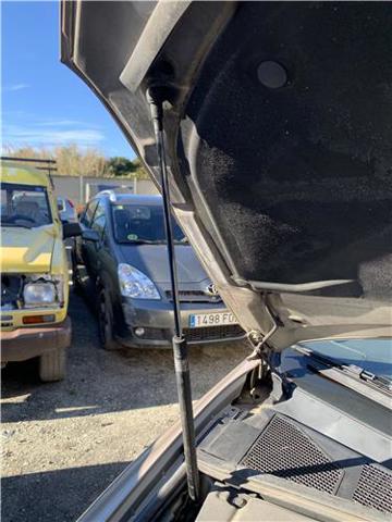 5344049125 TOYOTA Амортизатор капота купить в Ужгород