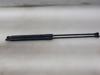 Amortecedor da capota 534500W180 TOYOTA