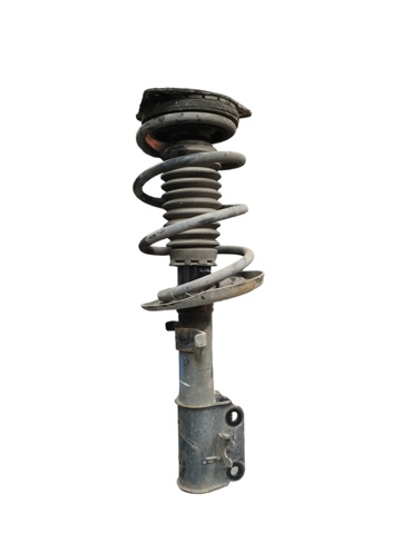 543020002R RENAULT Амортизатор передний купить в Полтава